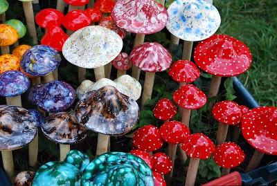 http://commons.wikimedia.org/wiki/File:Magic_mushrooms.jpg