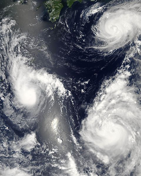 http://en.wikipedia.org/wiki/File:Typhoon_saomai_060807.jpg