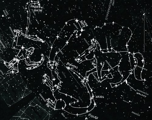 star-charts winter constellations