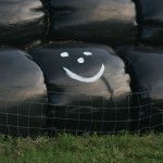 http://commons.wikimedia.org/wiki/File:Happy_silage_bale.jpg