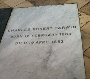 https://commons.wikimedia.org/wiki/File:Charles_Darwin%27s_grave_at_Westminster_Abbey.jpg